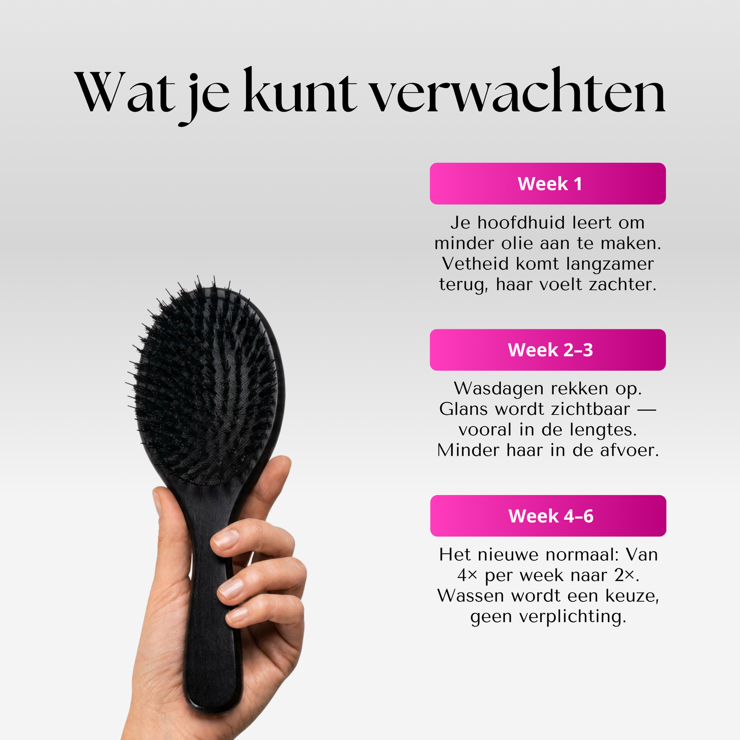 De Wasvrije Borstel | Minder wassen. Meer glans. Vanaf je eerste week.